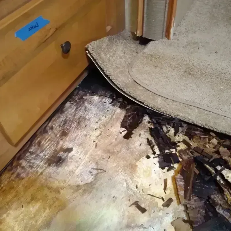 Wood Floor Water Damage in Waterloo, IL